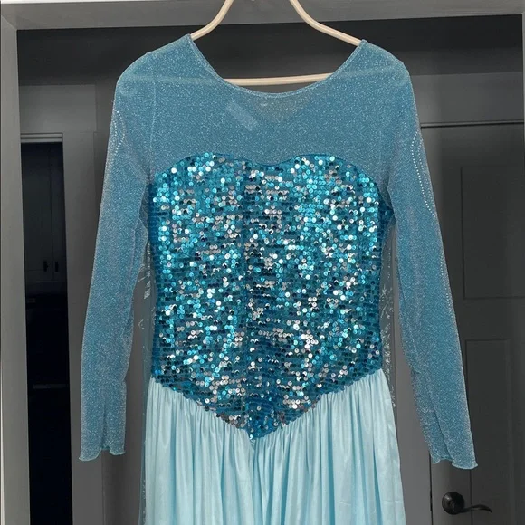 Adult Elsa Frozen Dress Costume - Picture 7 of 11